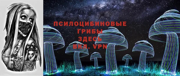 дурь Алзамай