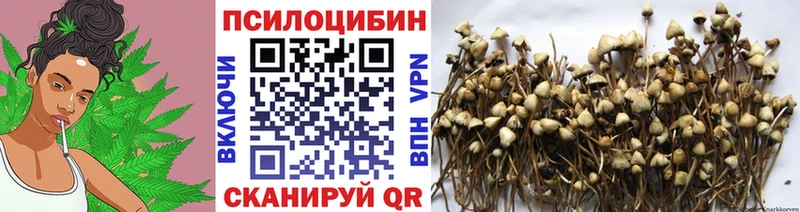 мега онион  купить наркотик  Навашино  Псилоцибиновые грибы ЛСД 